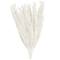 35" Natural Dried Palm Leaf Bundle with Feather-Inspired Stems